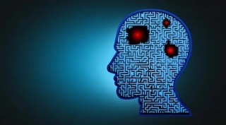 Gevaert team: Glioblastoma research study establishes a connection between spatial cellular architecture and clinical outcomes