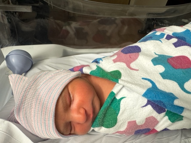Oliver is here!