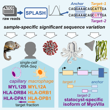 Julia Salzman’s new paper on SPLASH on Cell