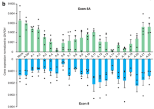 Graph for data set two