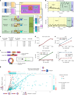 The SPLASH2 paper from the Salzman Lab was published online in Nature Biotechnology: