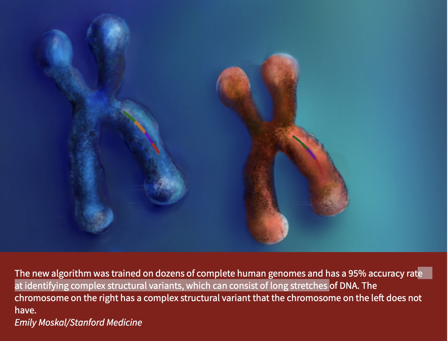 Wing Wong, co-author: Complex genomic variants are related to psychiatric diseases, study finds