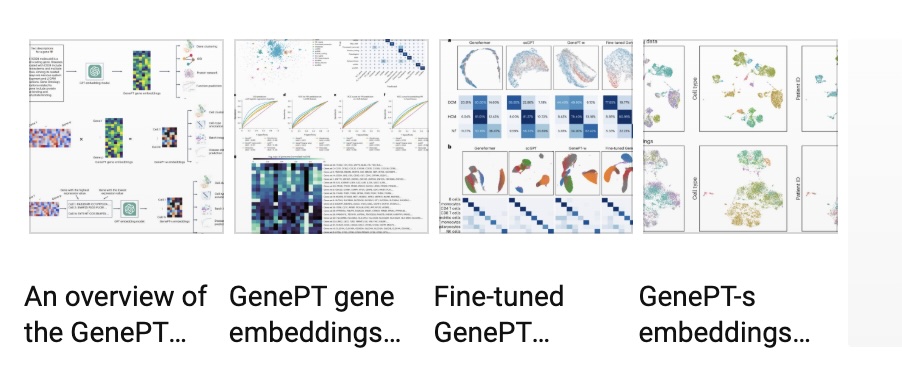 Zou Group paper published in Nature Biomedical Engineering