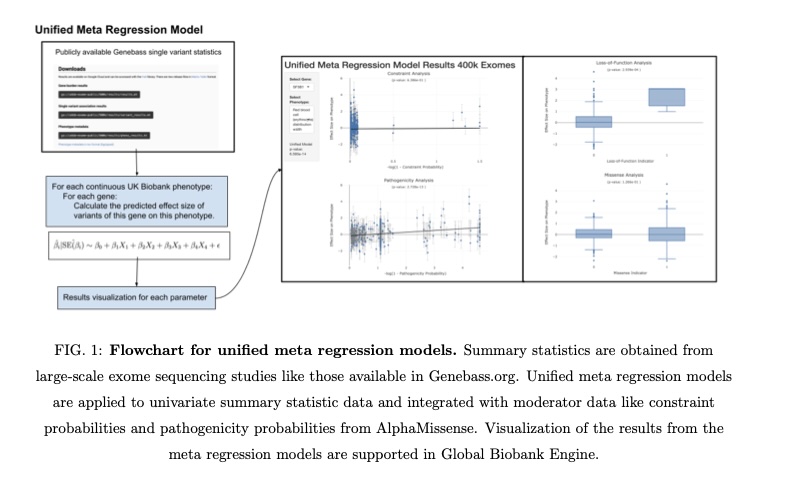 Manny Rivas and Larissa Lauer in BioRx: Unified meta regression models for rare variant association studies