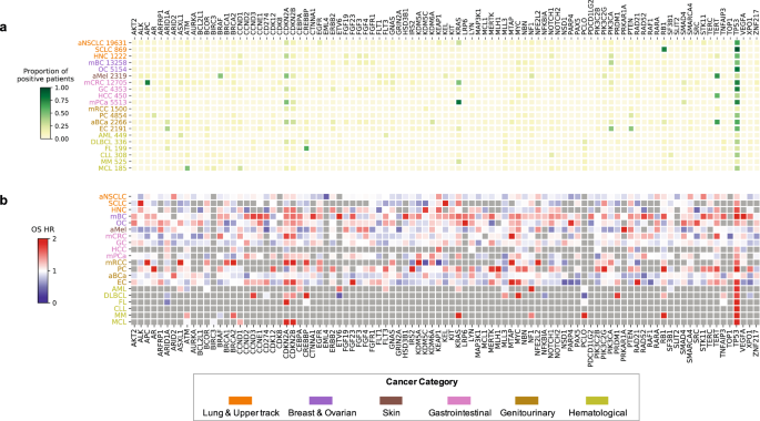 Zou Group has new precision oncology paper published in Nature Communications