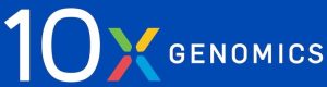10X genomics