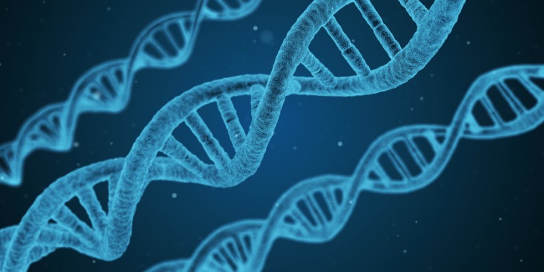 Doing More with Less: A Simpler Way to Predict Genetic Risk