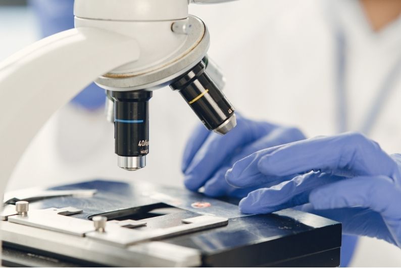 Stanford biomedical data scientists built a statistical tool to decode how cells organize inside tumors